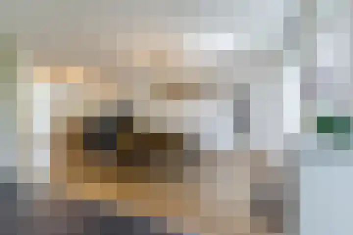 Henneven 9 Eindhoven thumbnail 13