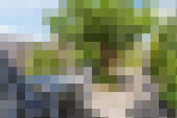 Henneven 9 Eindhoven thumbnail 27
