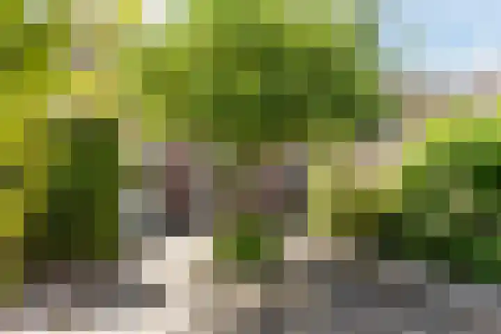 Henneven 9 Eindhoven thumbnail 29
