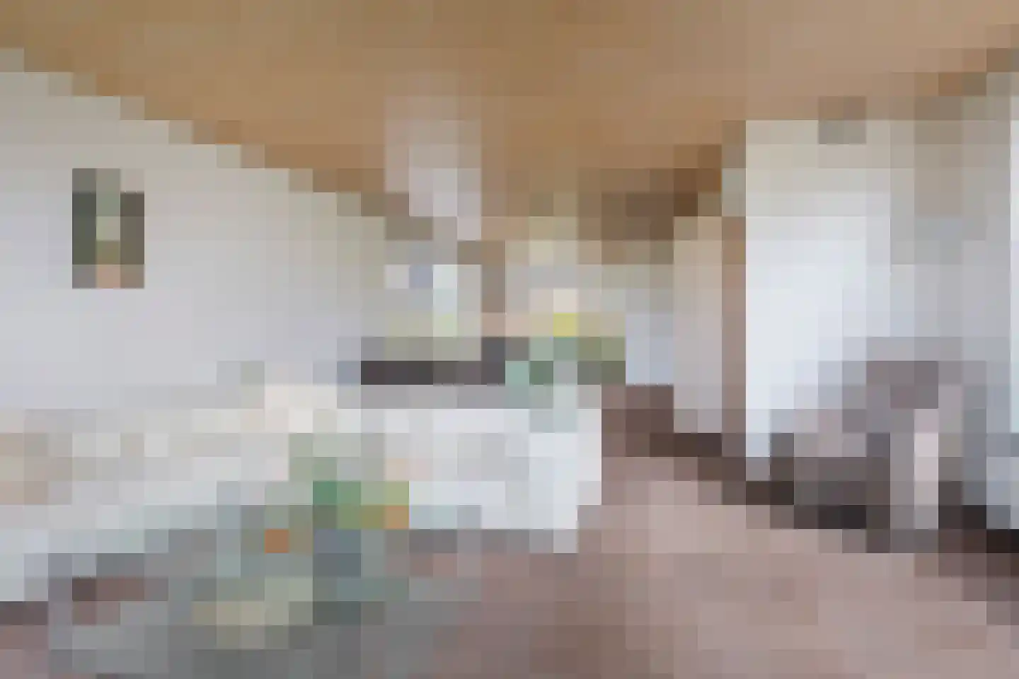 Hennipdreef 13 Zevenhuizen thumbnail 11