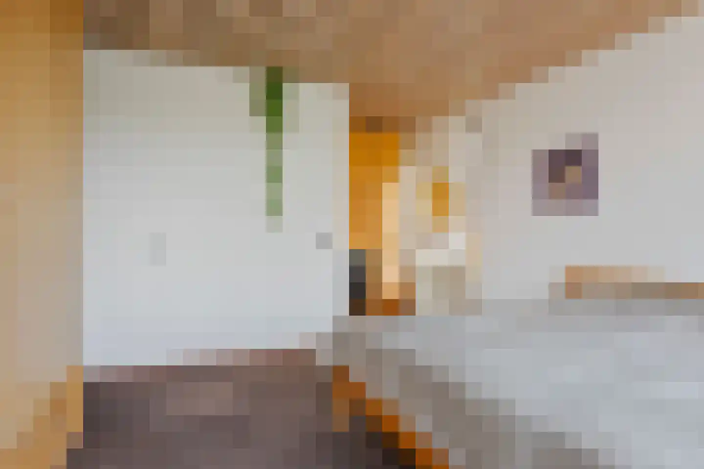Hennipdreef 13 Zevenhuizen thumbnail 20
