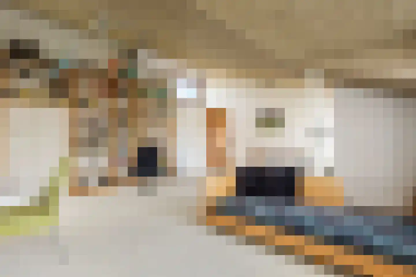 Hennipdreef 13 Zevenhuizen thumbnail 26