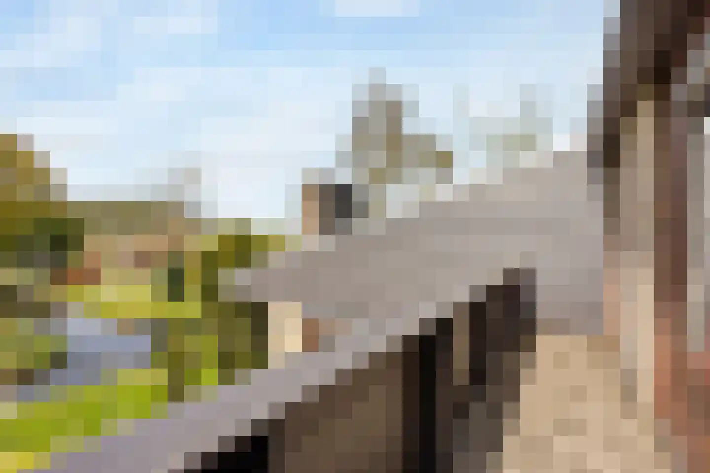 Hennipdreef 13 Zevenhuizen thumbnail 31