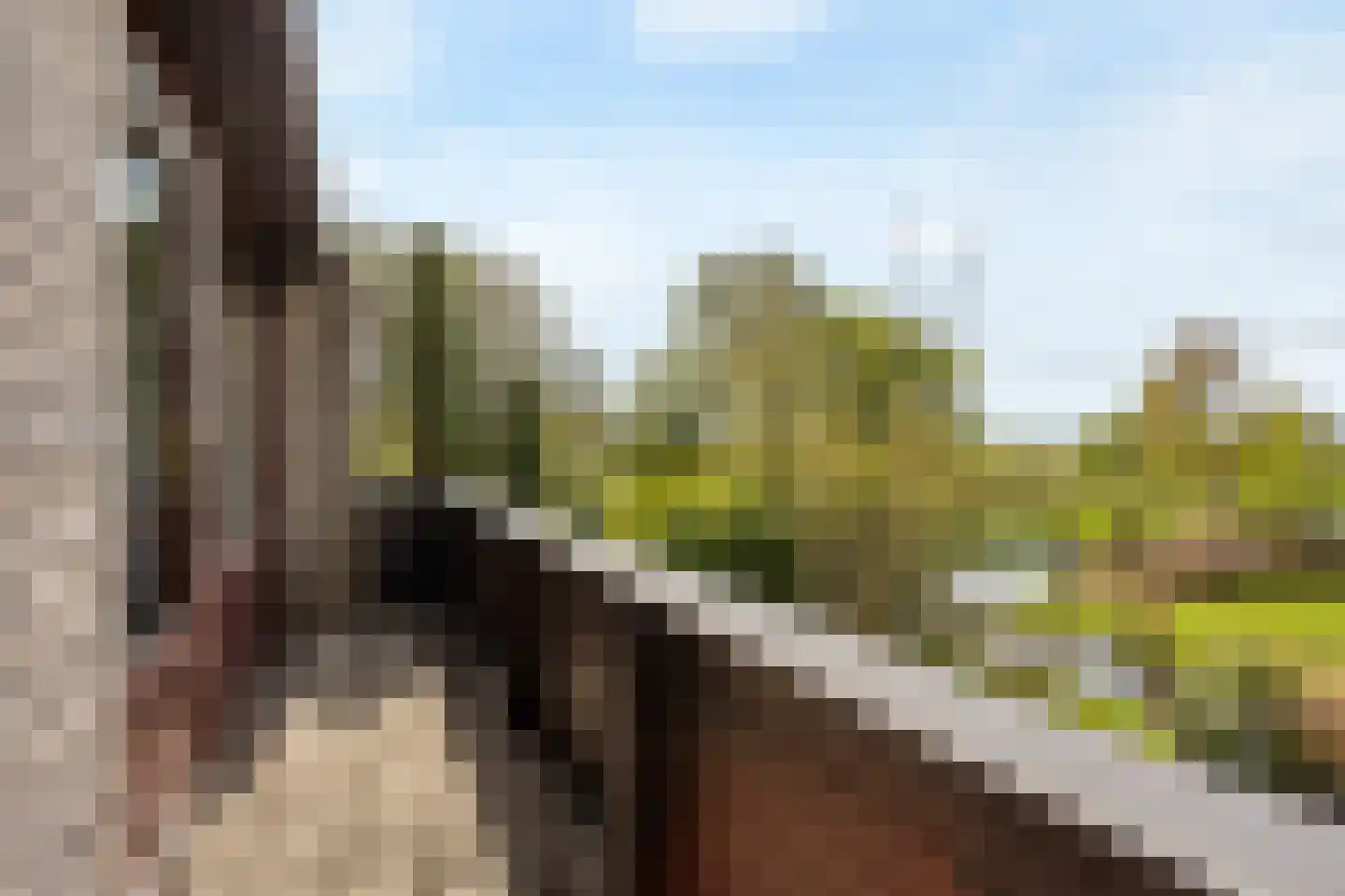 Hennipdreef 13 Zevenhuizen thumbnail 32