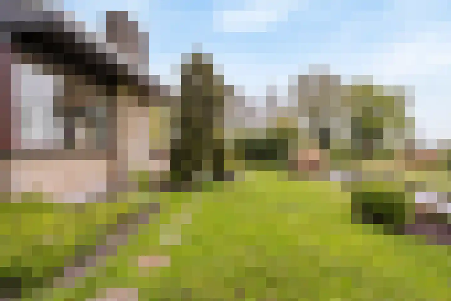 Hennipdreef 13 Zevenhuizen thumbnail 39