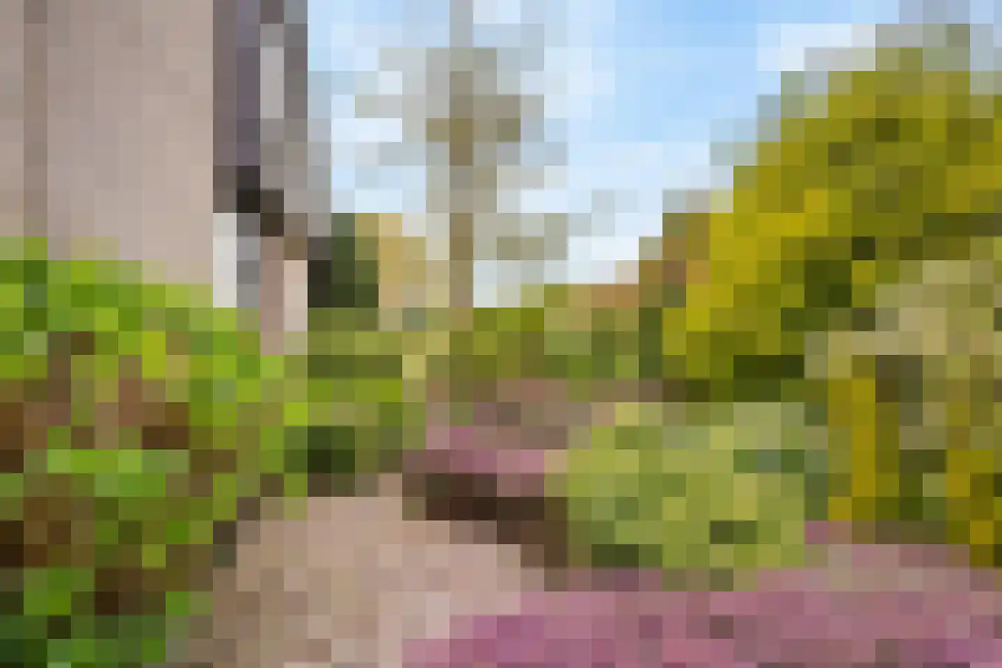 Hennipdreef 13 Zevenhuizen thumbnail 49