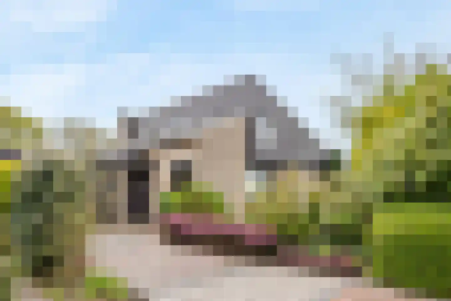 Hennipdreef 13 Zevenhuizen thumbnail 50
