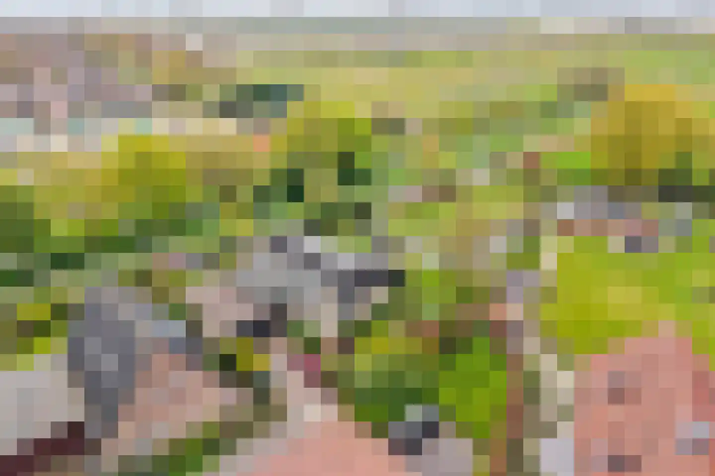 Hennipdreef 13 Zevenhuizen thumbnail 58