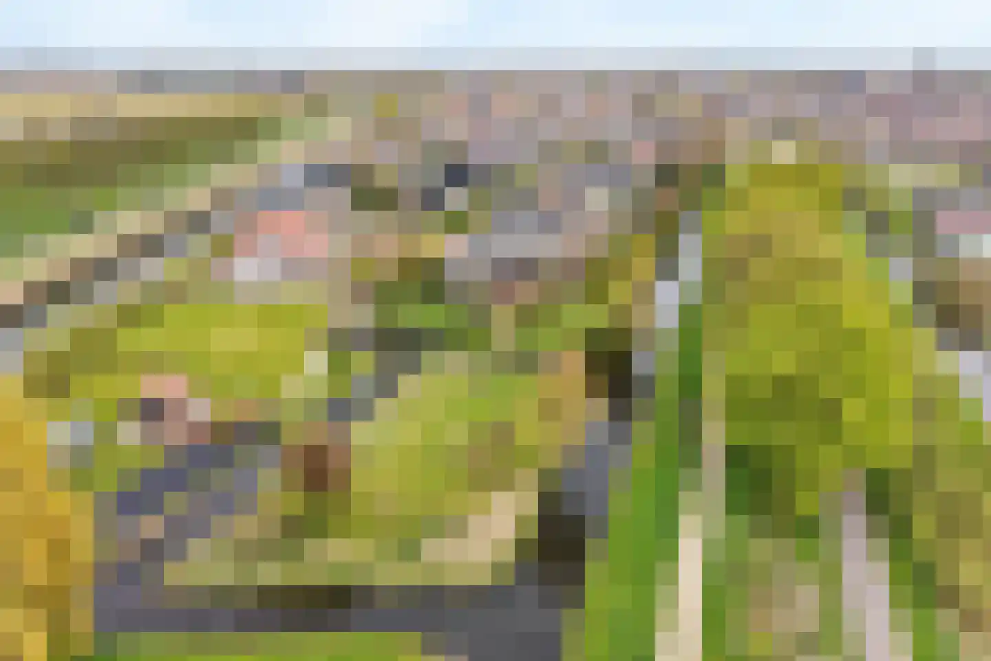 Hennipdreef 13 Zevenhuizen thumbnail 59