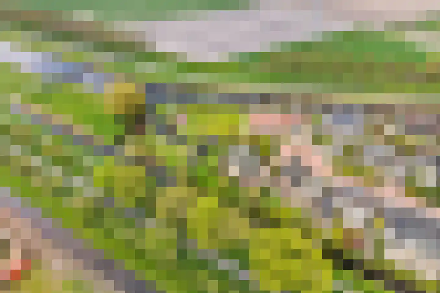Hennipdreef 13 Zevenhuizen thumbnail 61
