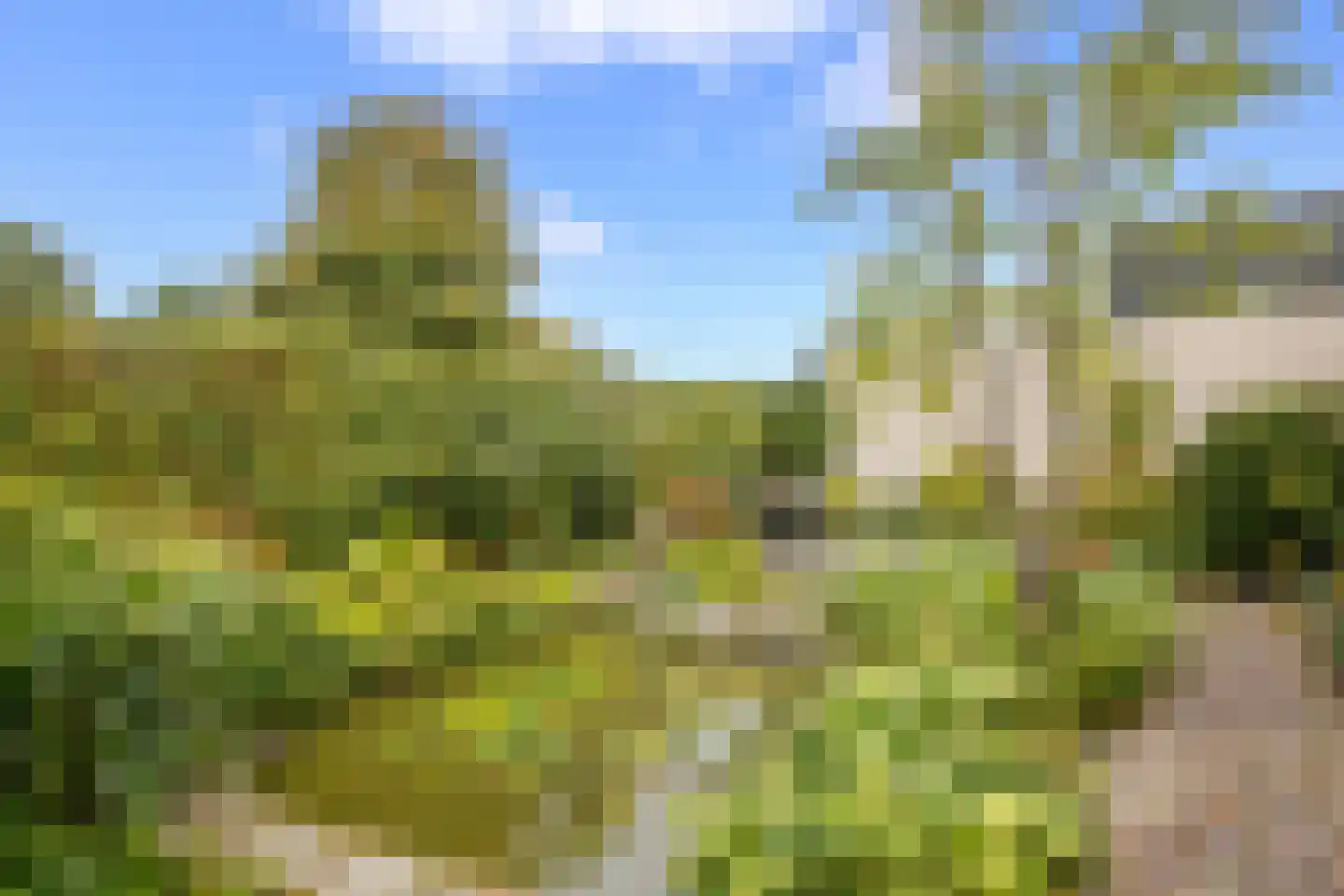 Hennipdreef 4 Zevenhuizen thumbnail 30