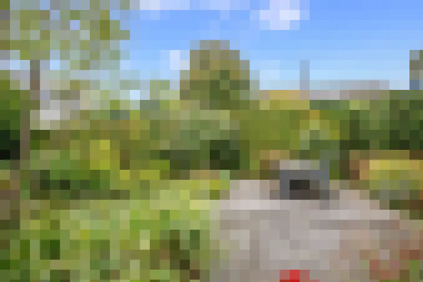 Hennipdreef 4 Zevenhuizen thumbnail 31
