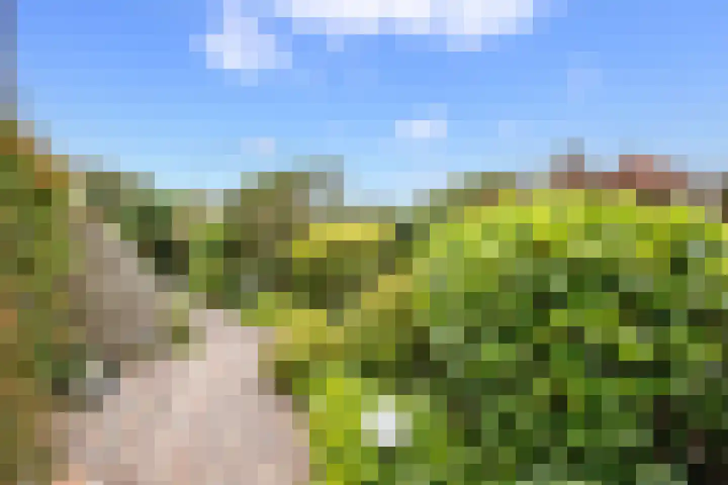 Hennipdreef 4 Zevenhuizen thumbnail 4