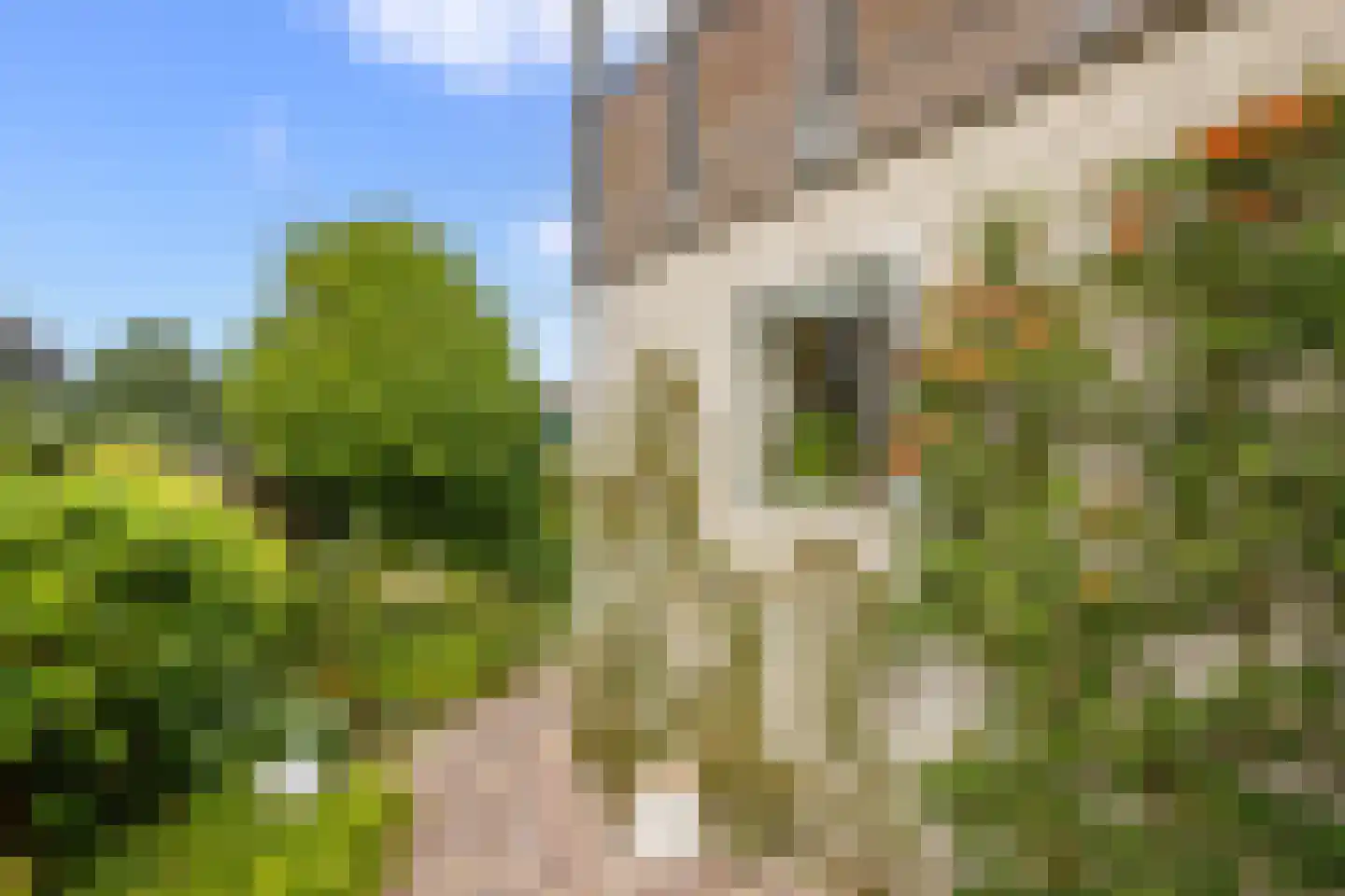 Hennipdreef 4 Zevenhuizen thumbnail 40