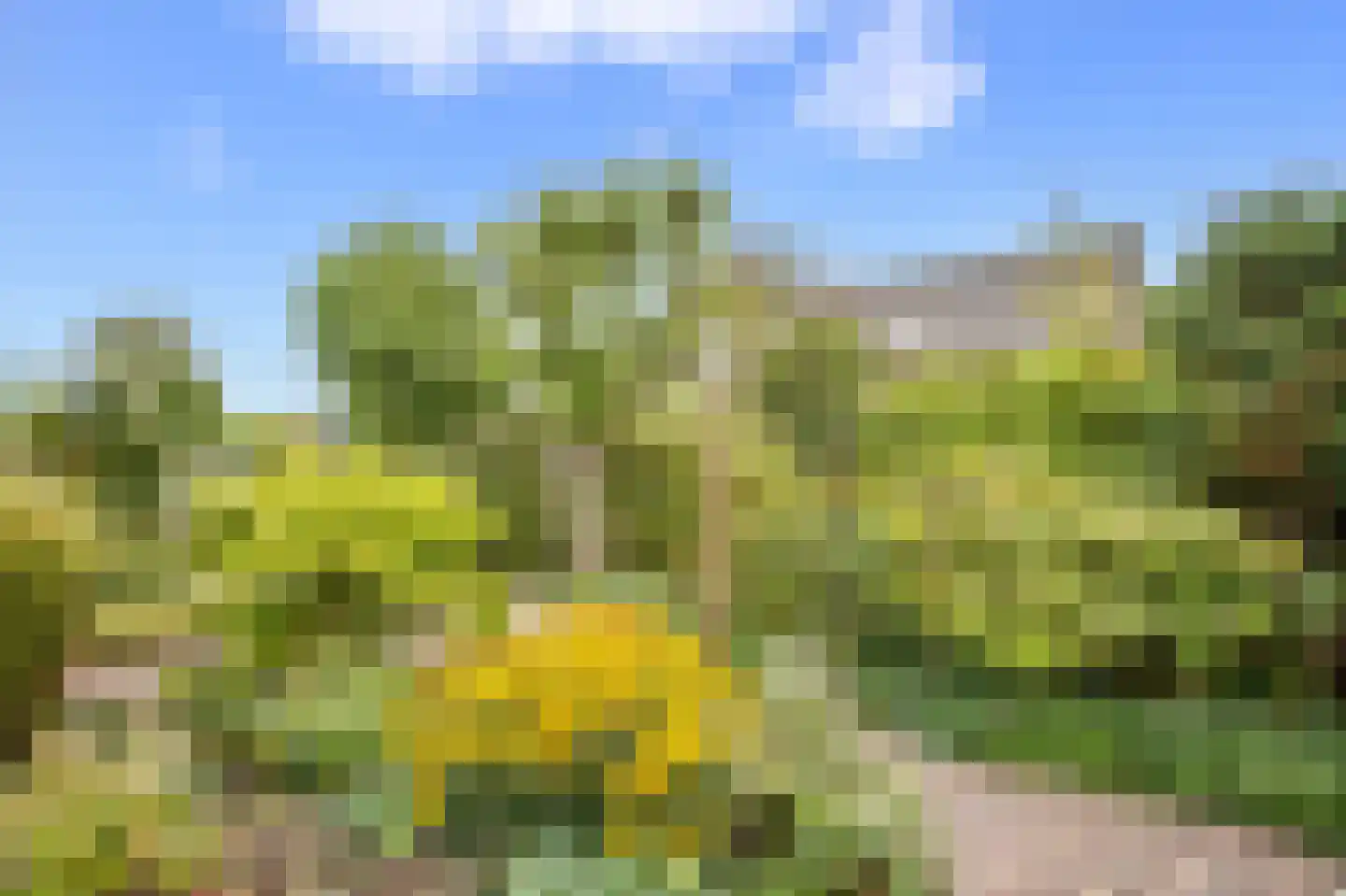 Hennipdreef 4 Zevenhuizen thumbnail 49