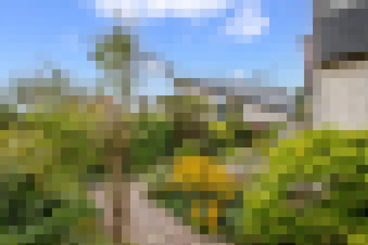 Hennipdreef 4 Zevenhuizen thumbnail 51