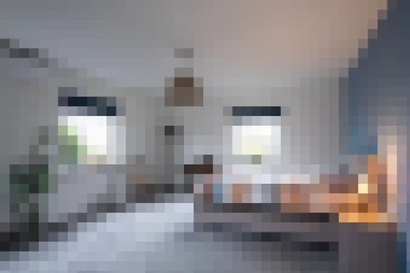 Hennisdijk 16 Zoelmond thumbnail 22