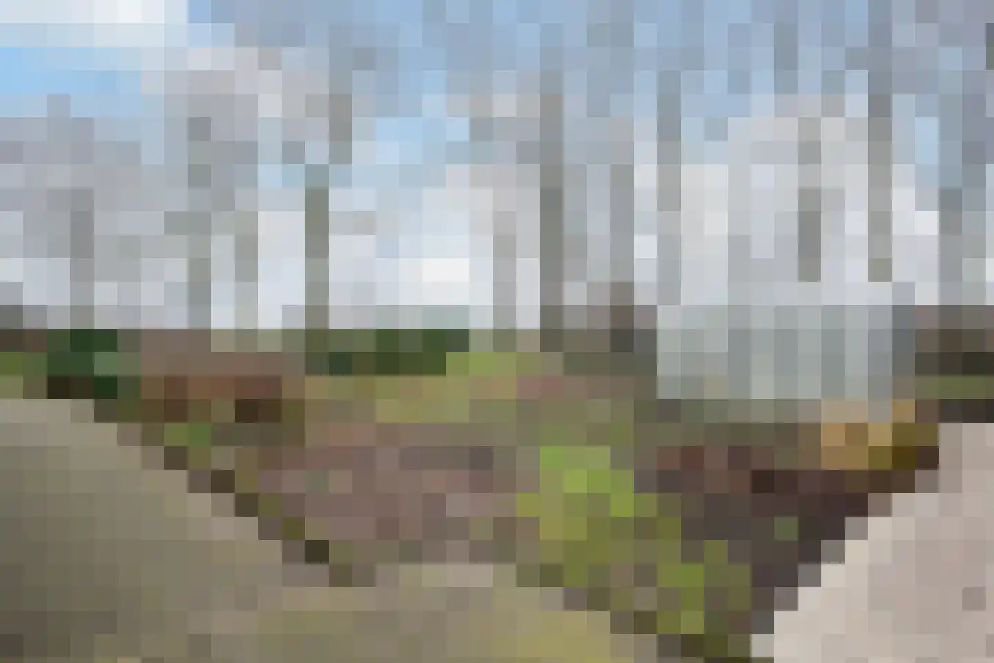 Hennisdijk 16 Zoelmond thumbnail 39
