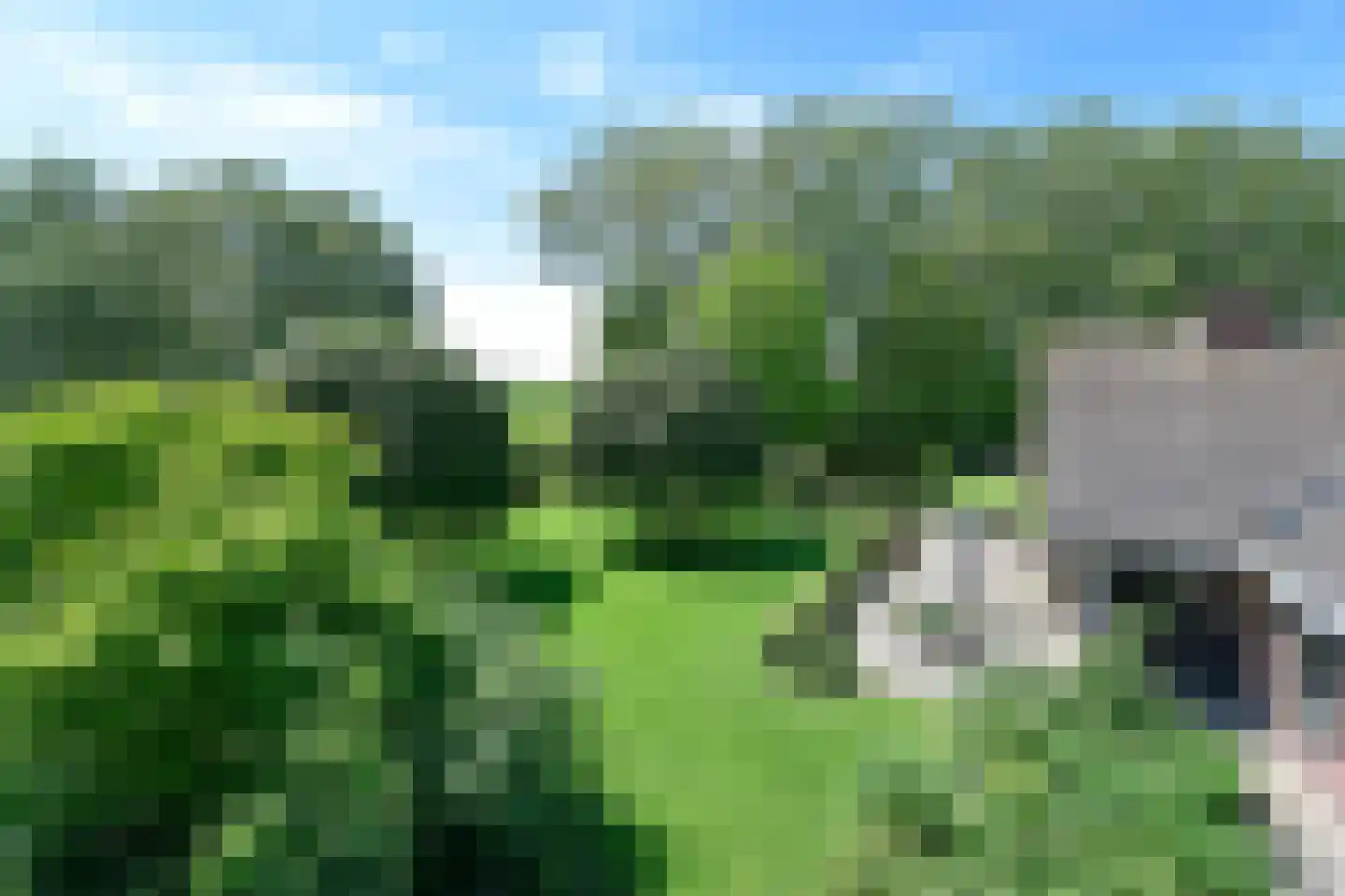 Hennisdijk 16 Zoelmond thumbnail 39