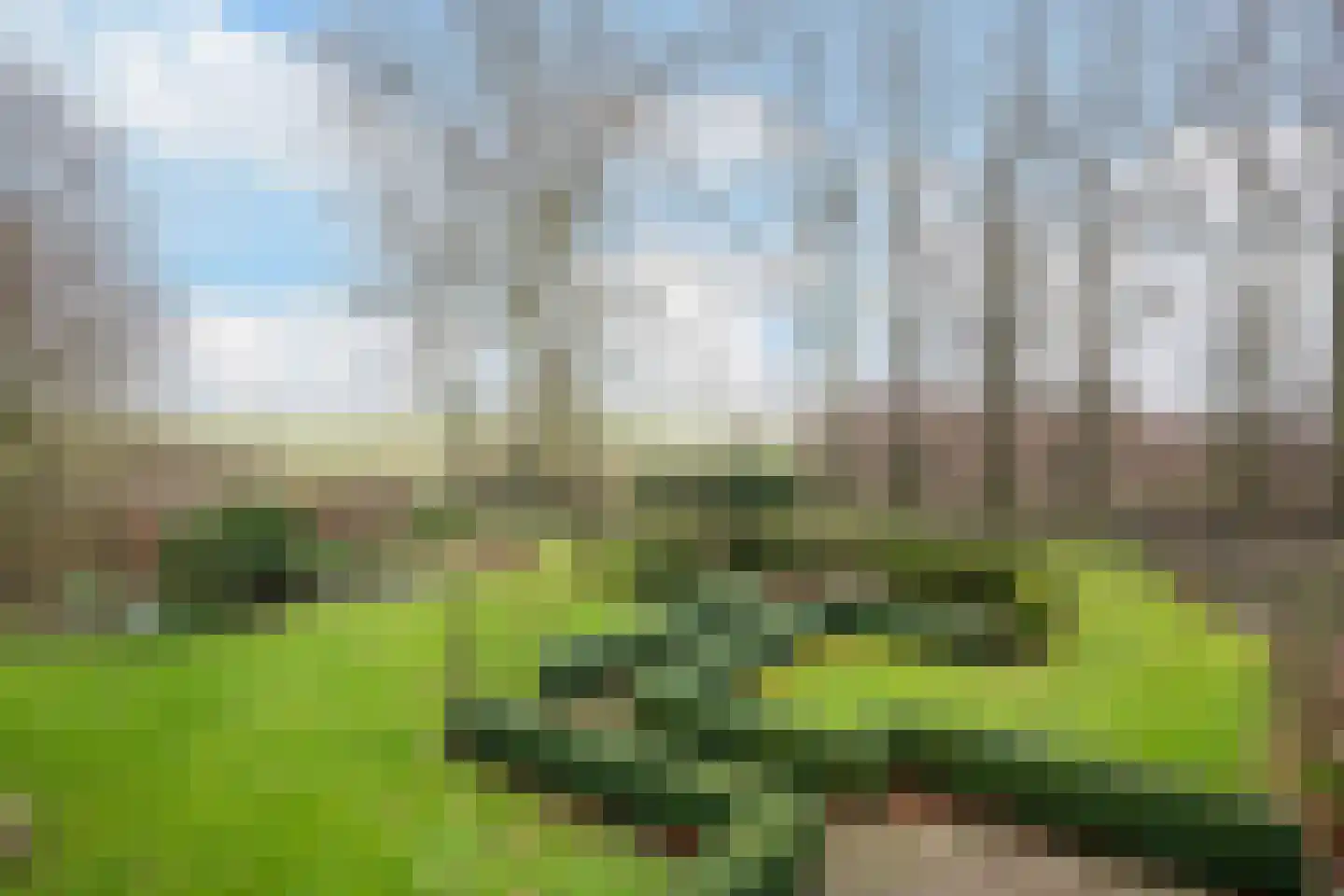 Hennisdijk 16 Zoelmond thumbnail 40