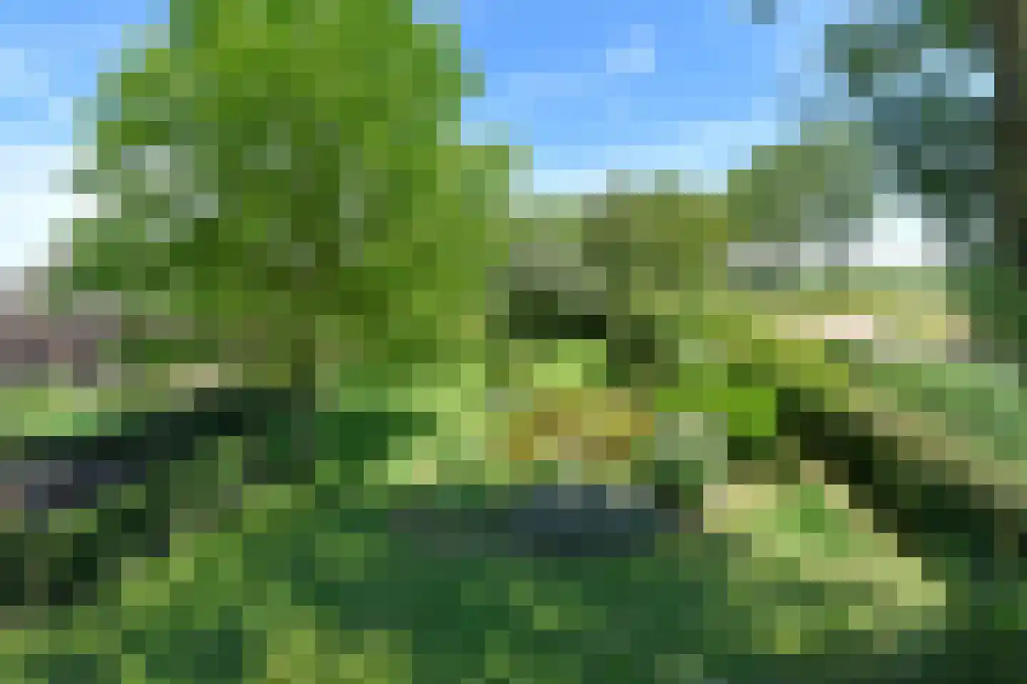 Hennisdijk 16 Zoelmond thumbnail 40