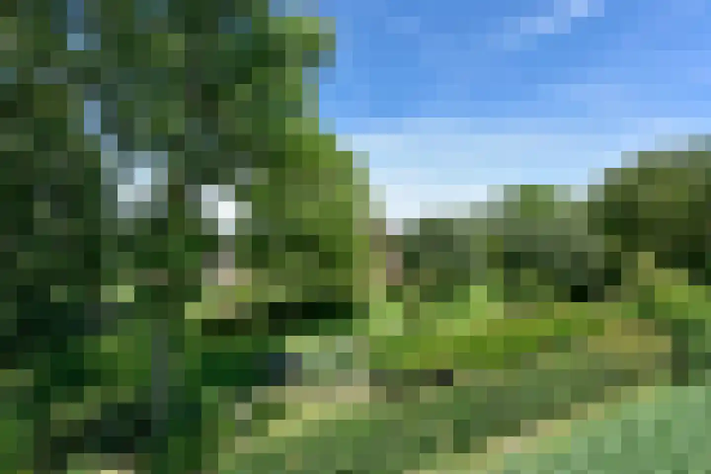 Hennisdijk 16 Zoelmond thumbnail 44