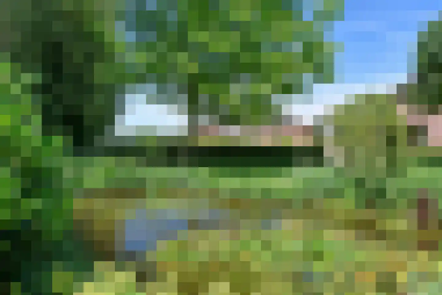 Hennisdijk 16 Zoelmond thumbnail 48