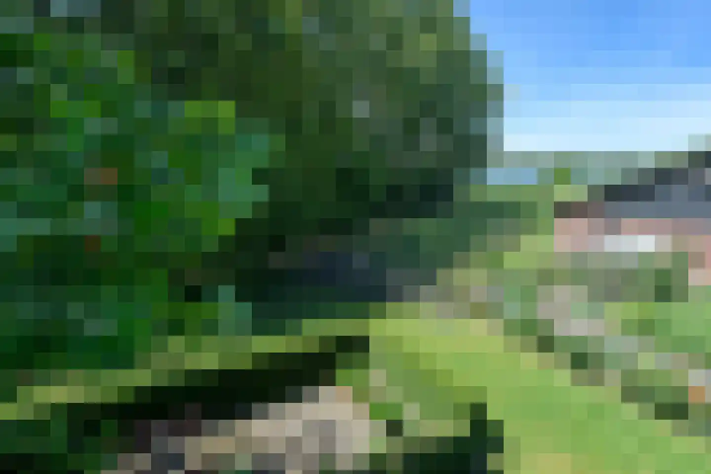 Hennisdijk 16 Zoelmond thumbnail 50