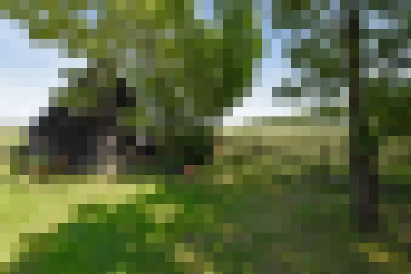 Hennisdijk 16 Zoelmond thumbnail 51