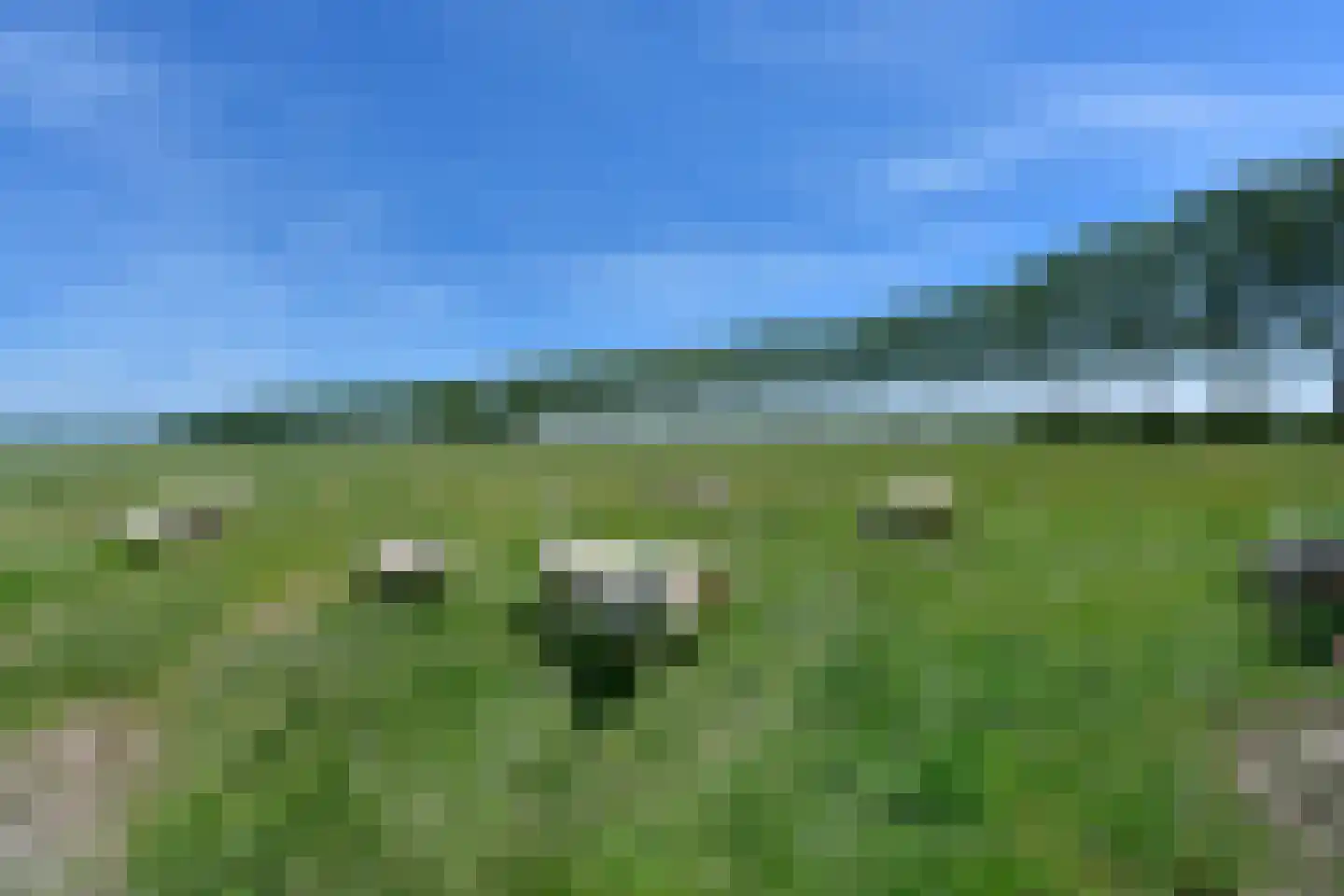 Hennisdijk 16 Zoelmond thumbnail 52