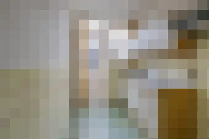 Henri Borelstraat 5 Haarlem thumbnail 10