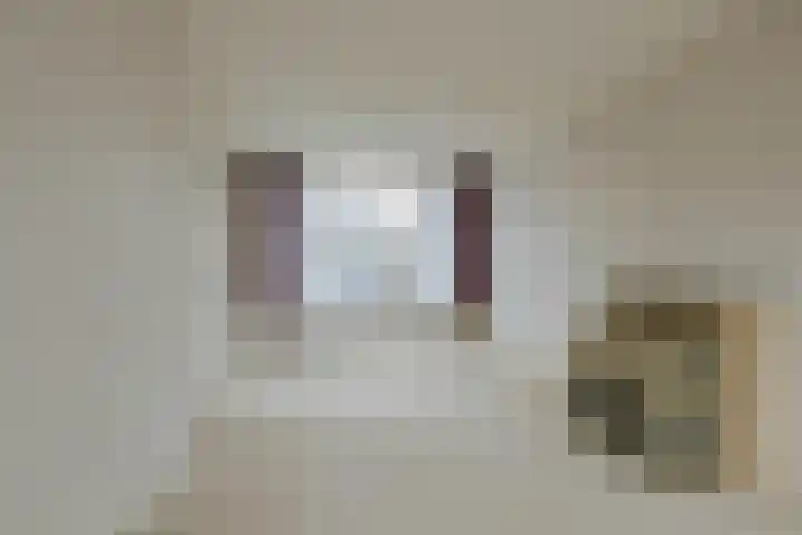 Henri Borelstraat 5 Haarlem thumbnail 6