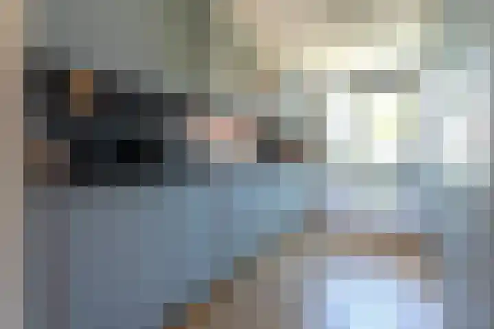 Henri Didonweg 104 Hoofddorp thumbnail 15