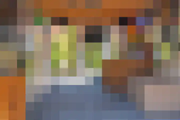 Henri Didonweg 104 Hoofddorp thumbnail 35