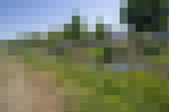 Henri Didonweg 104 Hoofddorp thumbnail 41