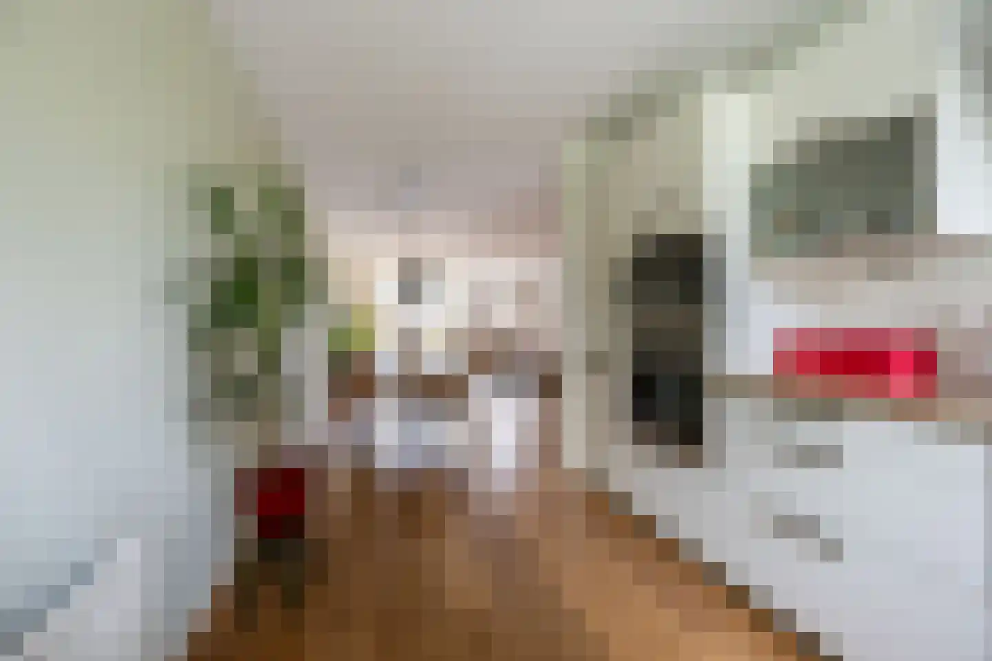 Henri Didonweg 108 Hoofddorp thumbnail 16