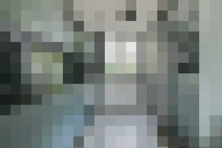 Henri Didonweg 112 Hoofddorp thumbnail 12