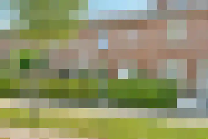 Henri Didonweg 112 Hoofddorp thumbnail 38