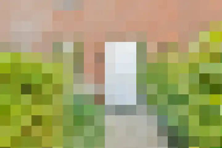 Henri Didonweg 112 Hoofddorp thumbnail 4