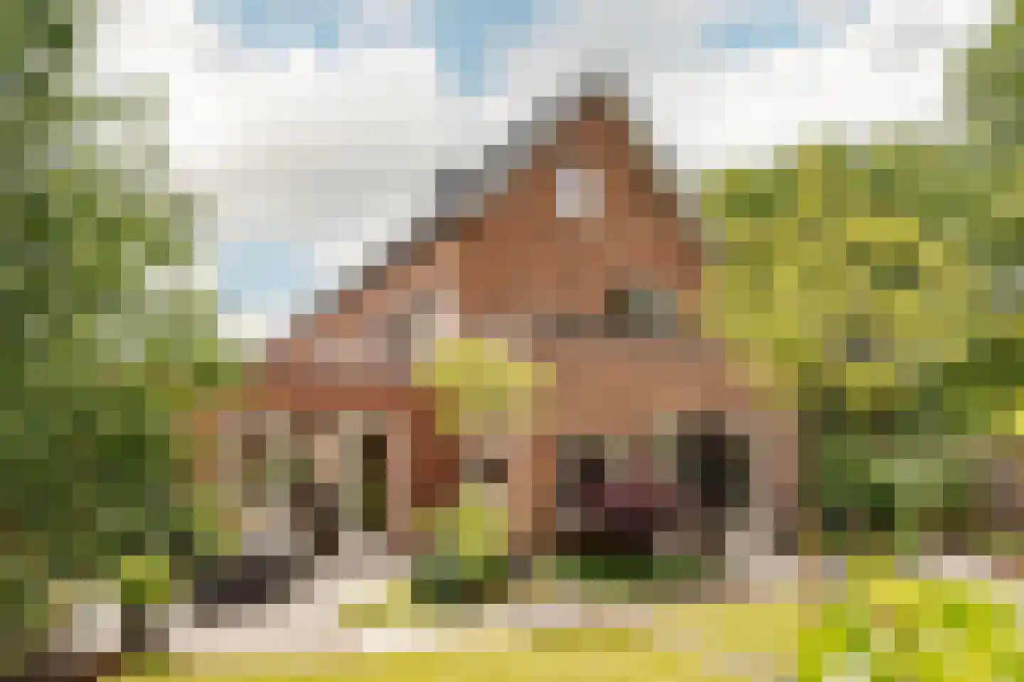 Henri Didonweg 55 in Hoofddorp