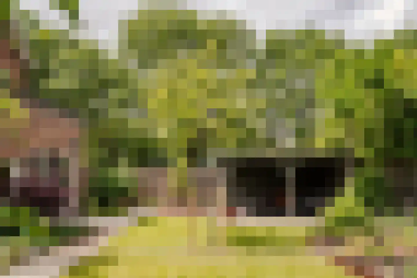 Henri Didonweg 55 Hoofddorp thumbnail 19