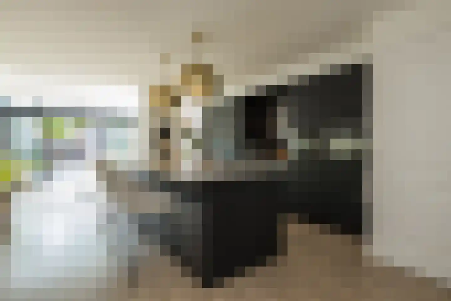 Henri Didonweg 74 Hoofddorp thumbnail 13