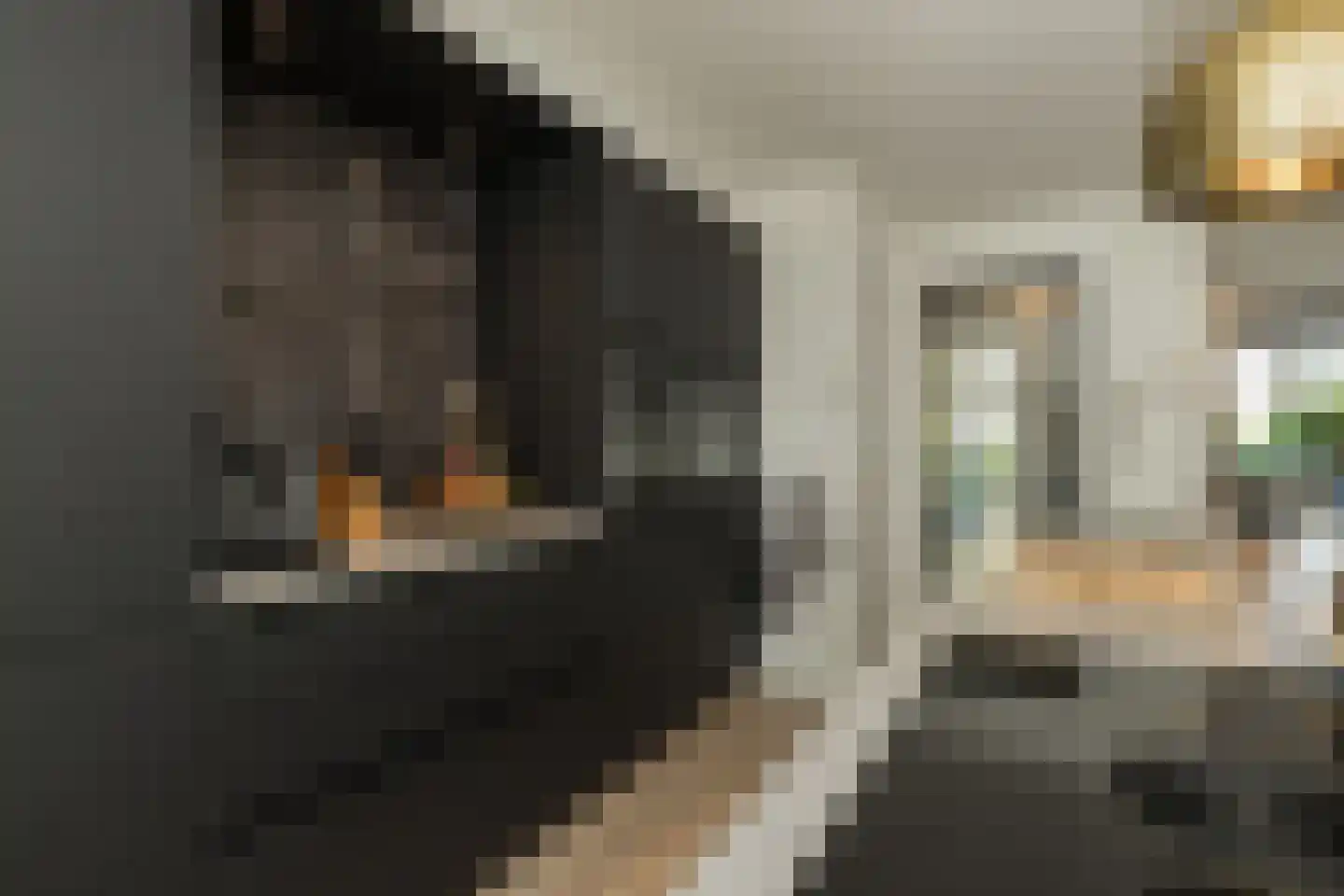 Henri Didonweg 74 Hoofddorp thumbnail 19