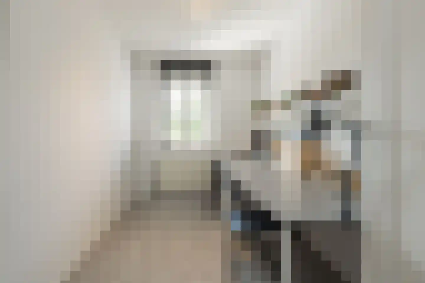 Henri Didonweg 74 Hoofddorp thumbnail 45