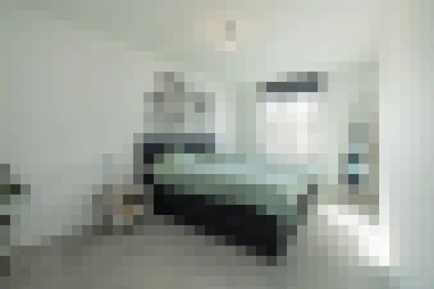 Henri Didonweg 74 Hoofddorp thumbnail 50