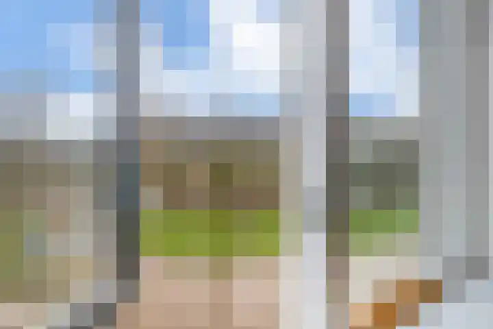 Henri Dunantlaan 1 Hellevoetsluis thumbnail 24