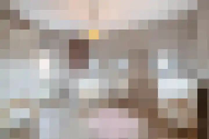 Henri Dunantlaan 1 Hellevoetsluis thumbnail 31