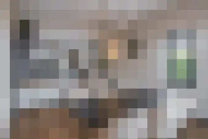 Henri Dunantlaan 1 Hellevoetsluis thumbnail 8