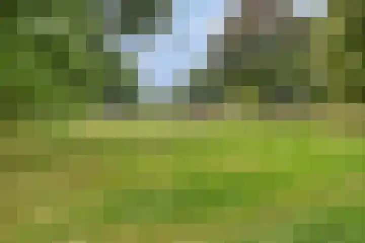 Henri Dunantlaan 111 Apeldoorn thumbnail 26
