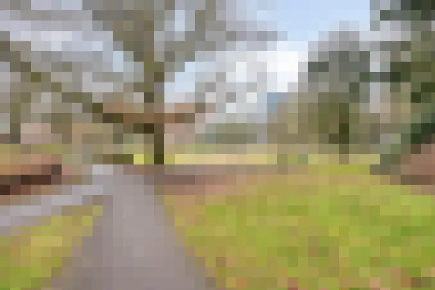 Henri Dunantlaan 129 Apeldoorn thumbnail 25